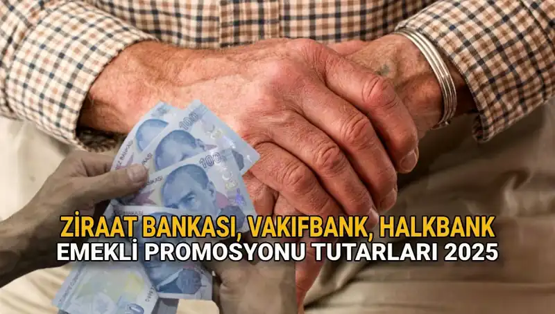 2025 Yılı Emekli Promosyonları: Kamu Bankaları Rekabeti Kızışıyor