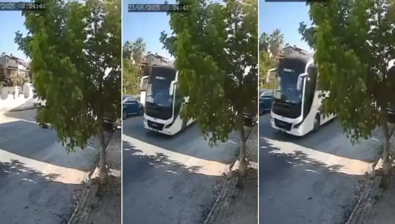 Yolda Yatan Köpeği Ezip Giden Sürücü İle İlgili Sarsıcı Gelişmeler!