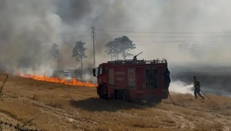 Kırklareli’ndeki Anız Yangınında Sözde Doğa Koruma Aksaklıkları