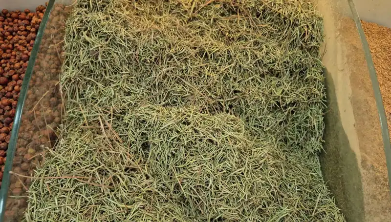 Yaz Aylarında İnternette Satışı Patlayan Ürünler: Ölüme Yol Açıyor Mu?