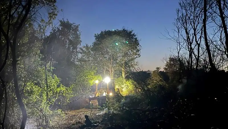Edirne Orman Yangını Kontrol Altına Alındı: Zarar ve Önlemler Neler?