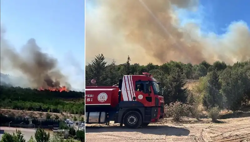 Gebze’deki Orman Yangını İle Mücadele Sürüyor: Son Durum Nedir?