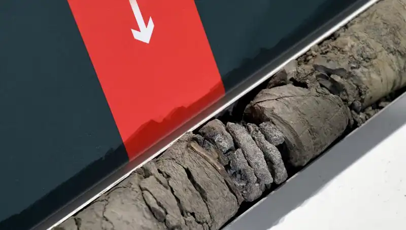 Müzede Heyecan Yaratan Keşif: Dinozor Fosili Bulundu!