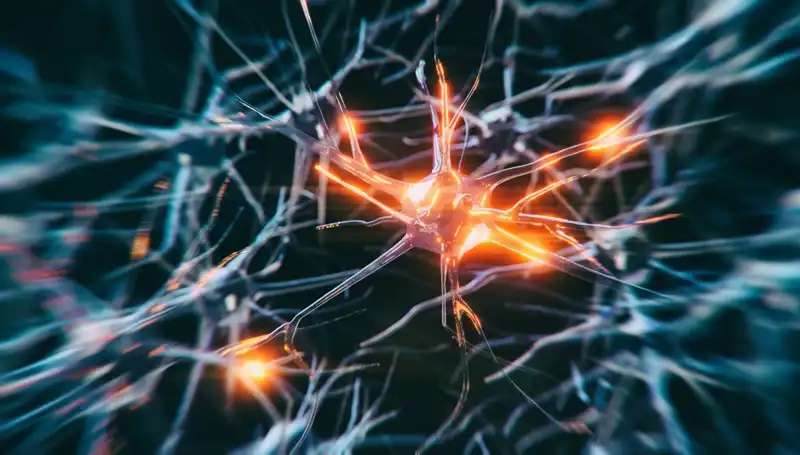 Alzheimer Vakalarındaki Endişe Verici Artışın Nedenleri Neler?