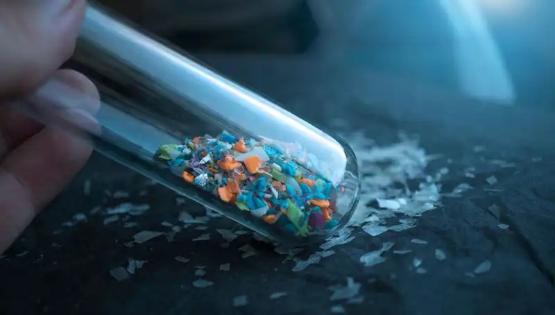Mikroplastiklerin İnsan Sağlığına Etkisi: Beyin Üzerindeki Gizli Tehdit
