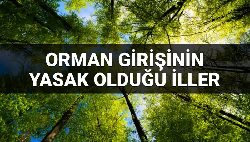 2025’te Ormana Girmek Yasaklanan İller: Merakla Beklenen Liste Açıklandı