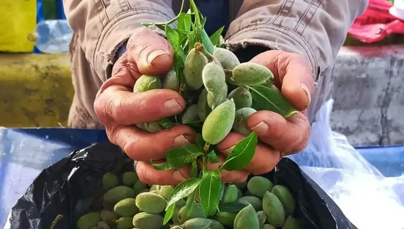 Bu Yıl Baharın Müjdecisi: Tezgahlarda Kilosu 250 TL Olacak O Ürün
