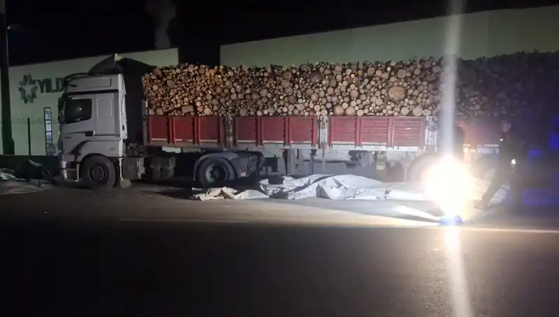 TIR Sürücüsünü Brandasını Toplarken Vuran Otomobil Kazası: Detaylar Ortaya Çıktı