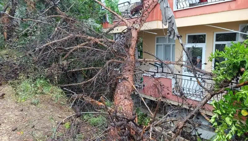 Yağmur Fırtınası Sonrası Bina Çöktü: Korku Dolu Anlar