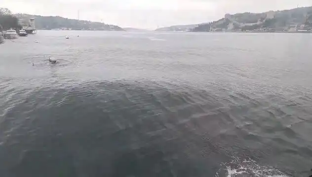 İstanbul Boğazı’nda Dalgalar Yükseldi: Ne Oluyor?