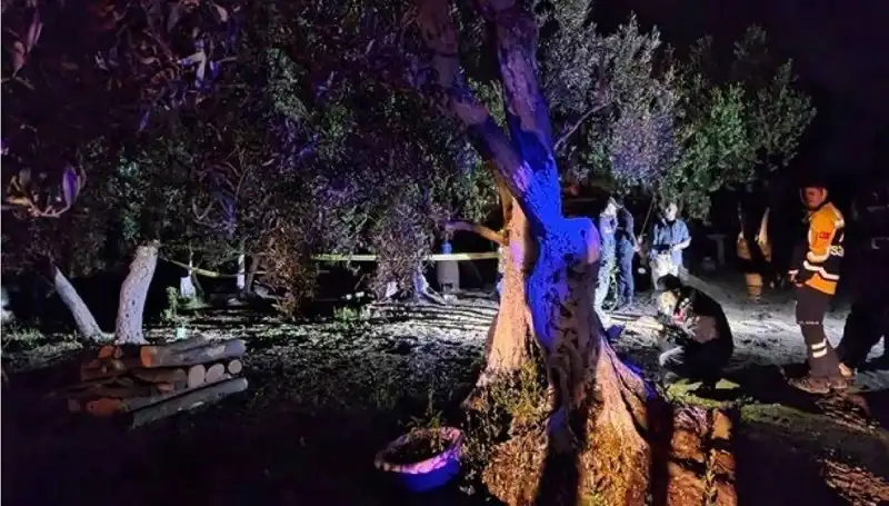 Çiftlikteki Kanlı Olay: Baltalı Vahşete Bir Tutuklama!