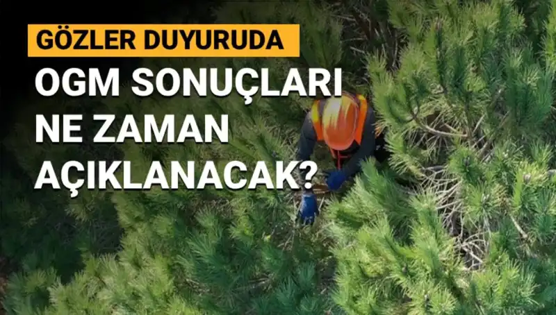 OGM Personel Alımı 2023: 3 Bin 477 Sözleşmeli İstihdam İçin Gözler Sonuçlarda!