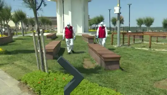 Kene Tehlikesi Artıyor: Halka Açık Alanlarda Acil İlaçlama Çalışmaları Başlatıldı