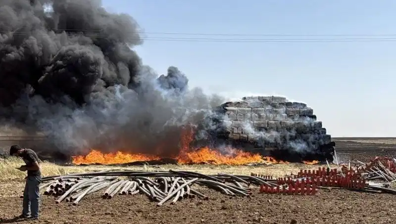 Mardin'de Anız Yangını: Tarım Alanları Kayıplara Uğruyor