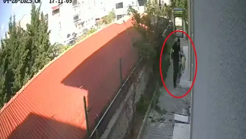 Doktorun Dehşet Veren İhlali: Sahiplendiği Köpekleri Katletti