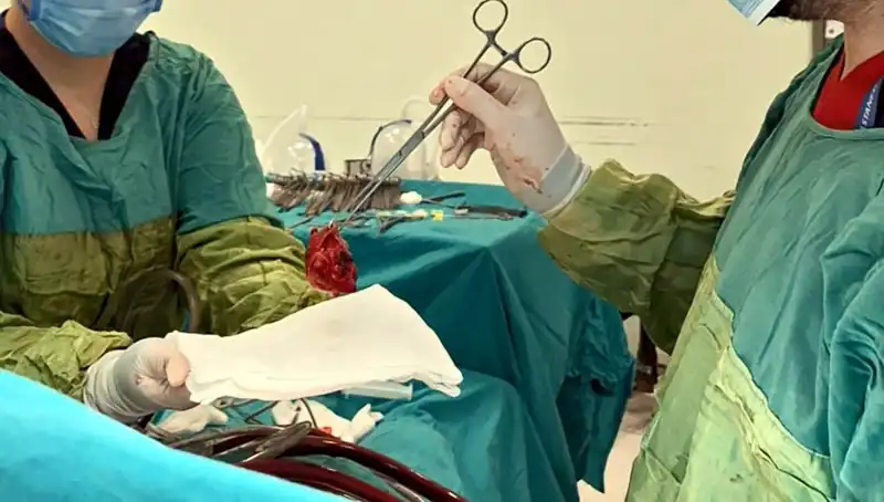 Kalp Kapağı Çürümüş Bir Hastanın Ameliyatı: Mucizelerin Gerçekleştiği An
