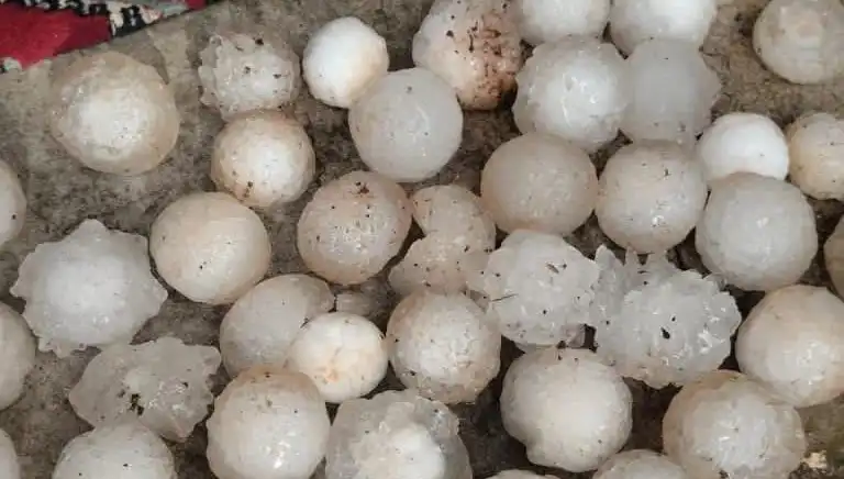 Şanlıurfa'da Kar Topu Büyüklüğünde Dolu Yağışı Bir Şok Etkisi Yarattı